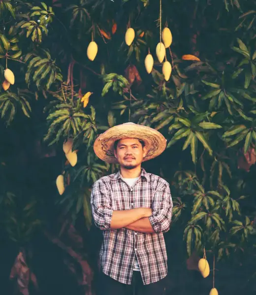 pexels-chokniti-khongchum-1197604-2280574