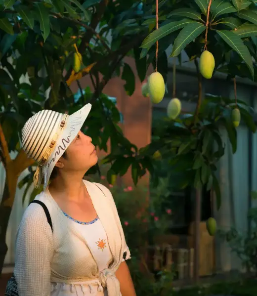 pexels-quang-nguyen-vinh-222549-2161854